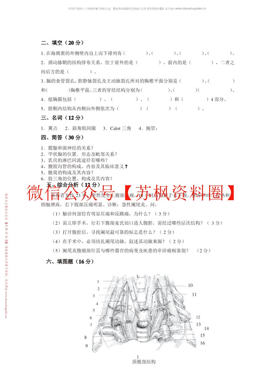 局部解剖学的题库